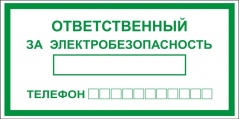 Э16 Ответственный за электробезопасность купить по цене 50 руб., в Москве и Екатеринбурге.